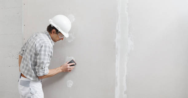 Best Asbestos and Lead Testing During Mold Inspection  in Roscoe, IL