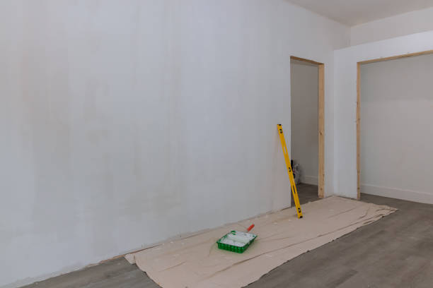 Best Real Estate Mold Inspection  in Roscoe, IL