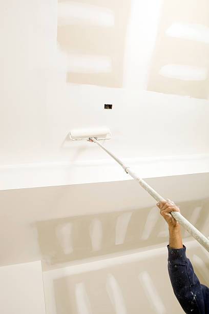 Reliable Roscoe, IL Mold Removal Solutions